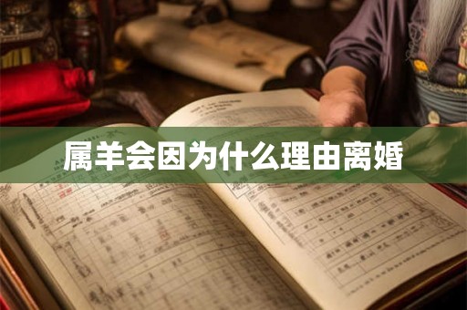 属羊会因为什么理由离婚