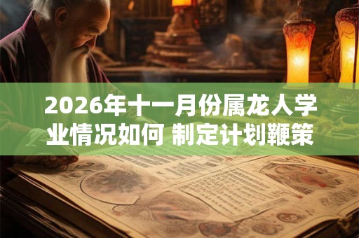 2026年十一月份属龙人学业情况如何 制定计划鞭策自我