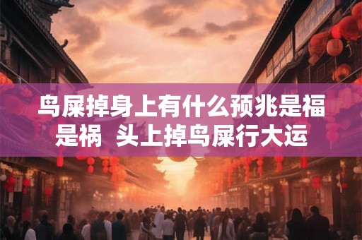 鸟屎掉身上有什么预兆是福是祸  头上掉鸟屎行大运