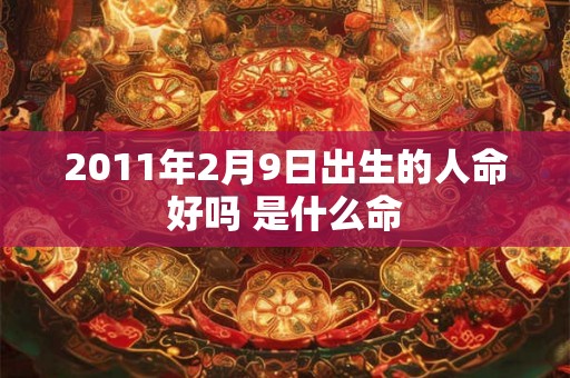 2011年2月9日出生的人命好吗 是什么命