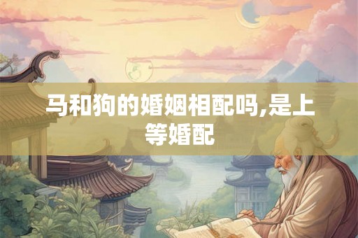 马和狗的婚姻相配吗,是上等婚配