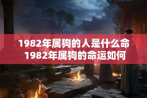 1982年属狗的人是什么命 1982年属狗的命运如何