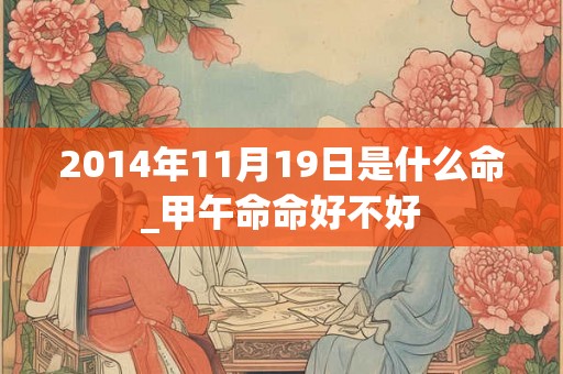 2014年11月19日是什么命_甲午命命好不好