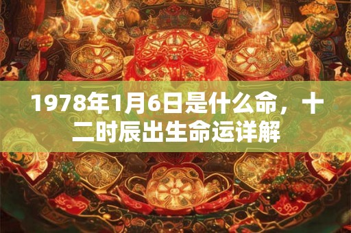 1978年1月6日是什么命，十二时辰出生命运详解