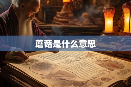蘑菇是什么意思