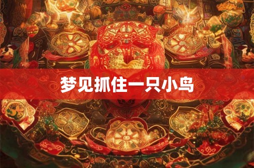 梦见抓住一只小鸟