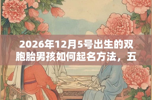 2026年12月5号出生的双胞胎男孩如何起名方法，五行属什么
