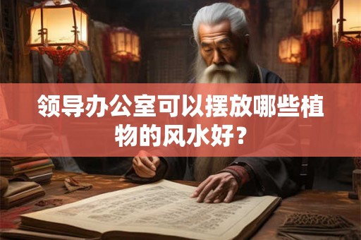 领导办公室可以摆放哪些植物的风水好？