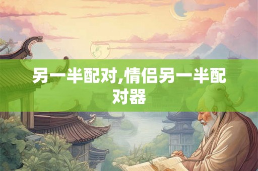 另一半配对,情侣另一半配对器