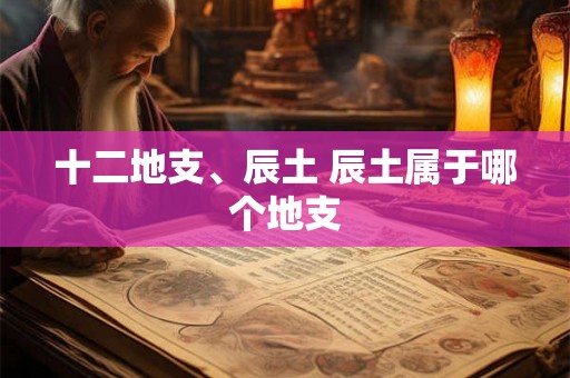 十二地支、辰土 辰土属于哪个地支