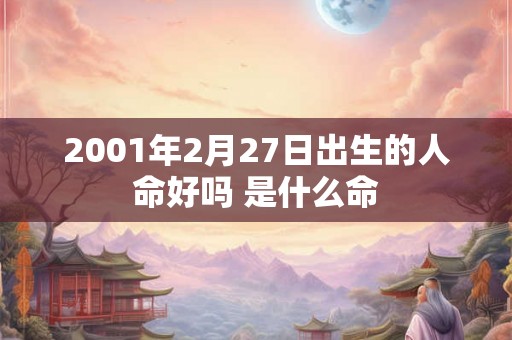 2001年2月27日出生的人命好吗 是什么命
