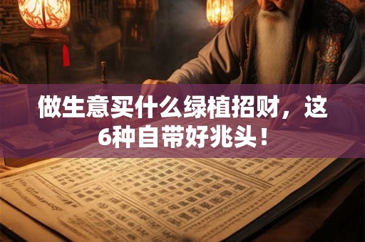 做生意买什么绿植招财，这6种自带好兆头！