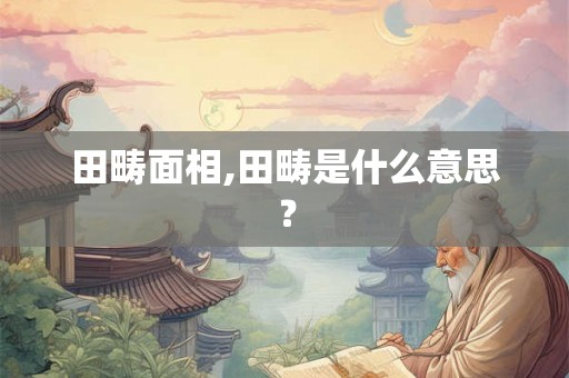 田畴面相,田畴是什么意思？