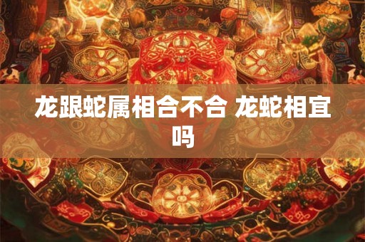 龙跟蛇属相合不合 龙蛇相宜吗