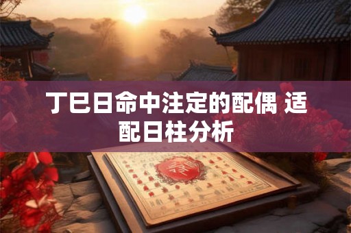 丁巳日命中注定的配偶 适配日柱分析 丁巳日命中注定的配偶 适配日柱分析