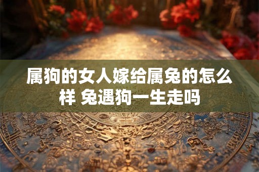属狗的女人嫁给属兔的怎么样 兔遇狗一生走吗