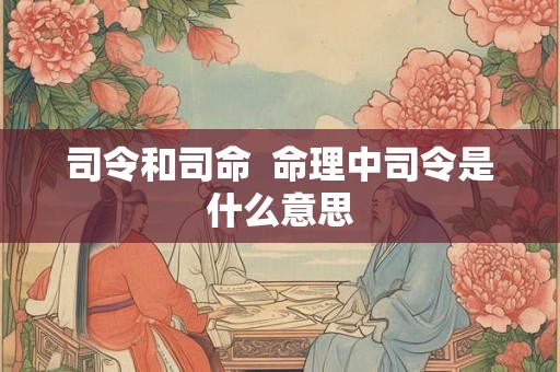 司令和司命  命理中司令是什么意思