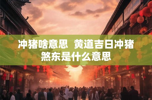 冲猪啥意思  黄道吉日冲猪煞东是什么意思