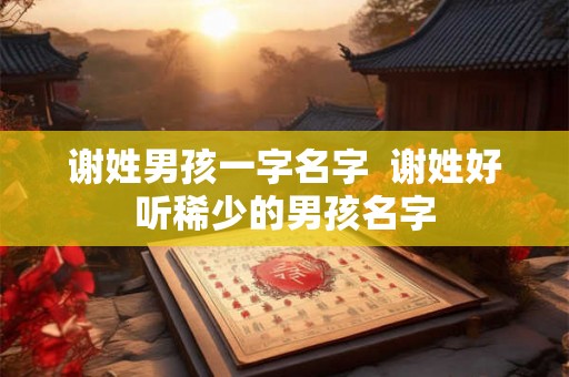 谢姓男孩一字名字  谢姓好听稀少的男孩名字