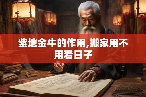 紫地金牛的作用,搬家用不用看日子