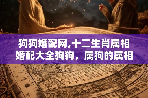 狗狗婚配网,十二生肖属相婚配大全狗狗，属狗的属相婚配表