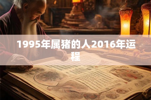 1995年属猪的人2016年运程