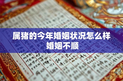 属猪的今年婚姻状况怎么样 婚姻不顺