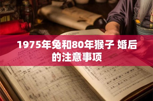 1975年兔和80年猴子 婚后的注意事项