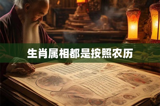 生肖属相都是按照农历