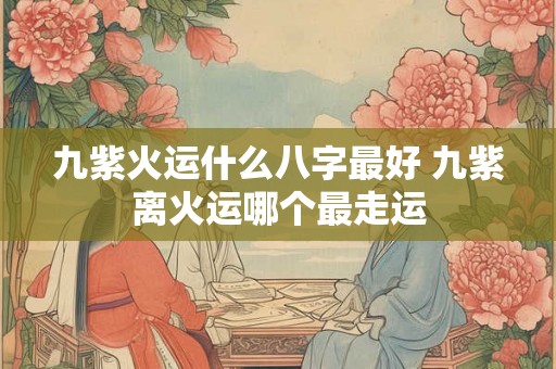 九紫火运什么八字最好 九紫离火运哪个最走运