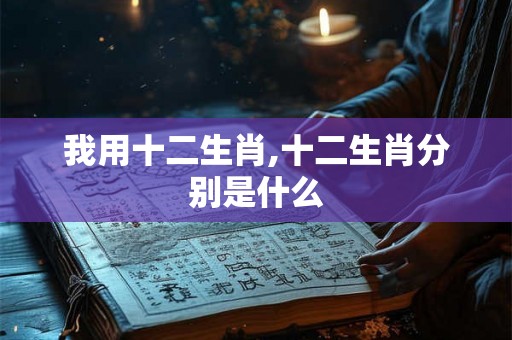 我用十二生肖,十二生肖分别是什么