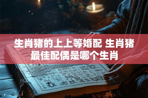生肖猪的上上等婚配 生肖猪最佳配偶是哪个生肖 生肖猪的上上等婚配 生肖猪最佳配偶是哪个生肖