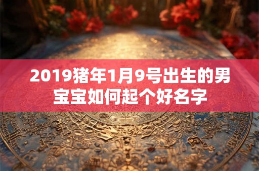 2019猪年1月9号出生的男宝宝如何起个好名字 2019猪年1月9号出生的男宝宝如何起个好名字