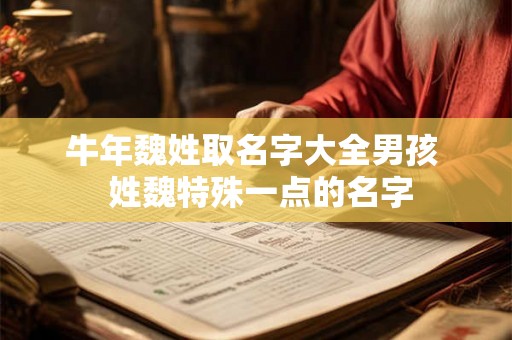 牛年魏姓取名字大全男孩  姓魏特殊一点的名字