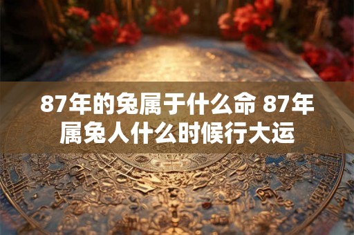 87年的兔属于什么命 87年属兔人什么时候行大运 87年的兔属于什么命 87年属兔人什么时候行大运