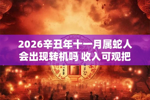 2026辛丑年十一月属蛇人会出现转机吗 收入可观把握商机