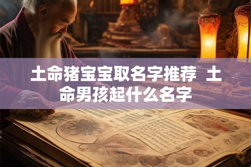 土命猪宝宝取名字推荐 土命男孩起什么名字 土命猪宝宝取名字推荐 土命男孩起什么名字