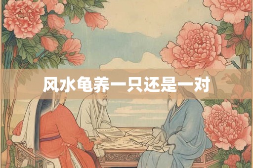 风水龟养一只还是一对