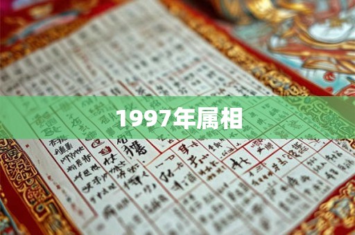 1997年属相 1997年属相