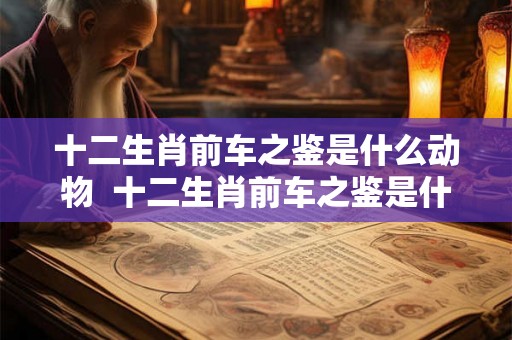 十二生肖前车之鉴是什么动物 十二生肖前车之鉴是什么生肖 十二生肖前车之鉴是什么动物 十二生肖前车之鉴是什么生肖