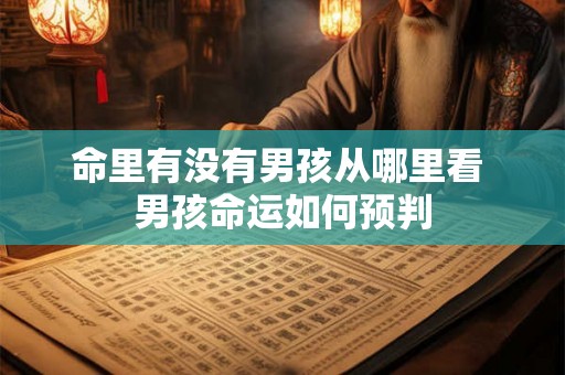 命里有没有男孩从哪里看 男孩命运如何预判