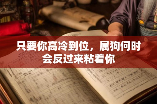 只要你高冷到位，属狗何时会反过来粘着你