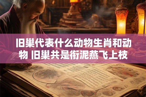 旧巢代表什么动物生肖和动物 旧巢共是衔泥燕飞上枝头变凤凰意思