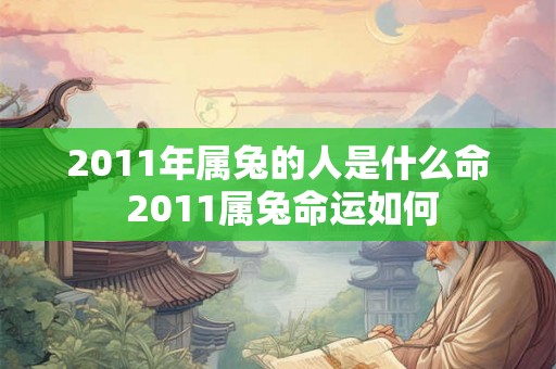 2011年属兔的人是什么命 2011属兔命运如何