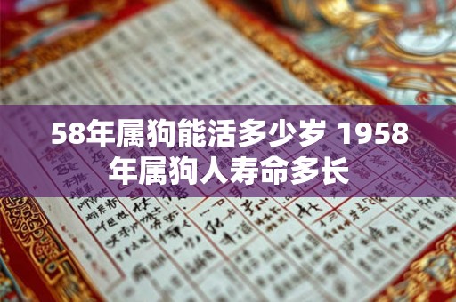 58年属狗能活多少岁 1958年属狗人寿命多长