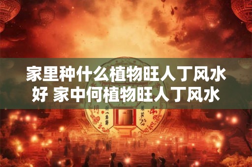 家里种什么植物旺人丁风水好 家中何植物旺人丁风水佳 家里种什么植物旺人丁风水好 家中何植物旺人丁风水佳