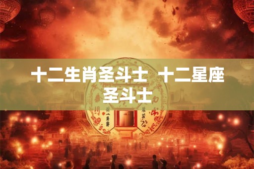 十二生肖圣斗士  十二星座圣斗士
