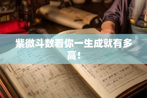 紫微斗数看你一生成就有多高! 紫微斗数看你一生成就有多高!