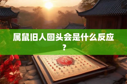 属鼠旧人回头会是什么反应？