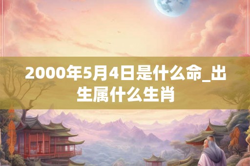2000年5月4日是什么命_出生属什么生肖